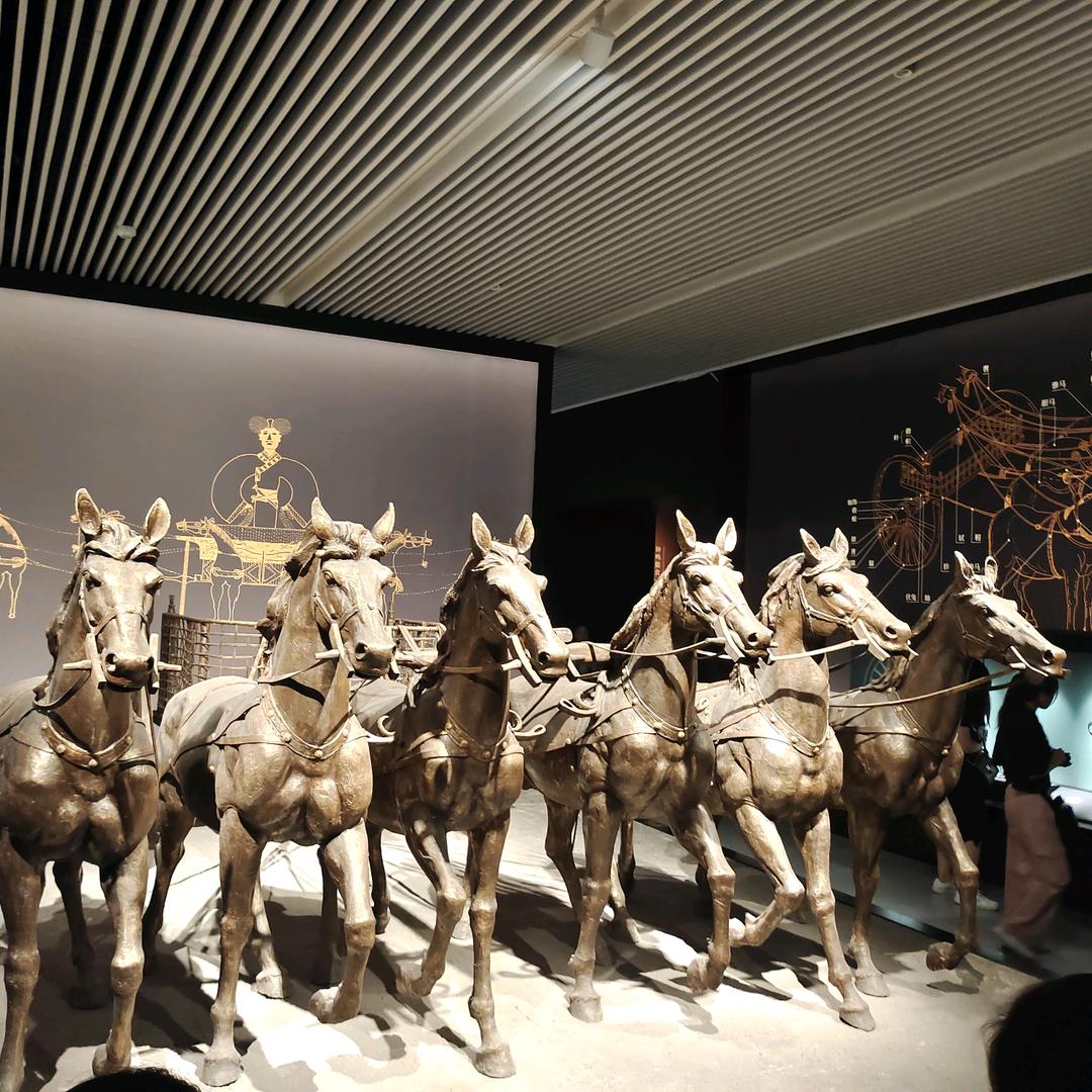 🌈我心有猛虎🌈细嗅蔷薇