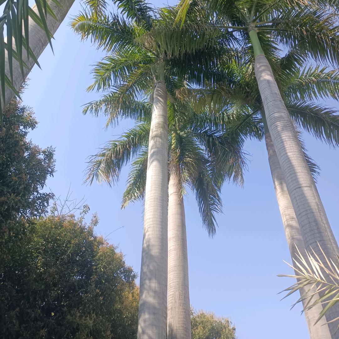 人生不过几回首