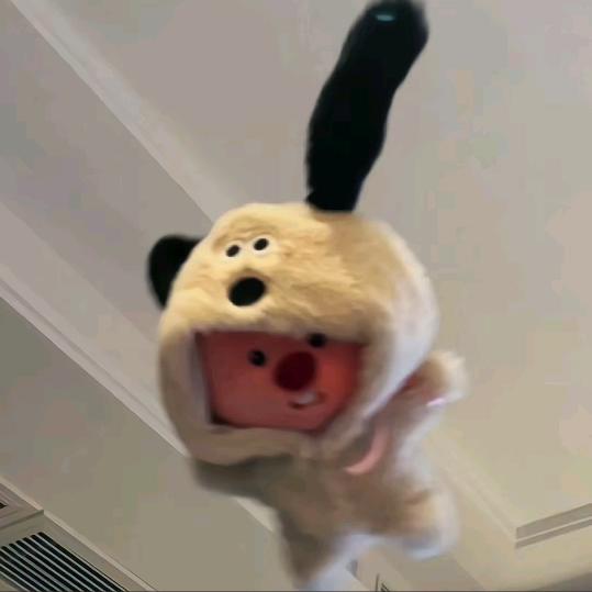 有点有点