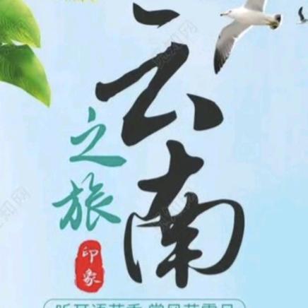 西双版纳旅行社主播鱼鱼