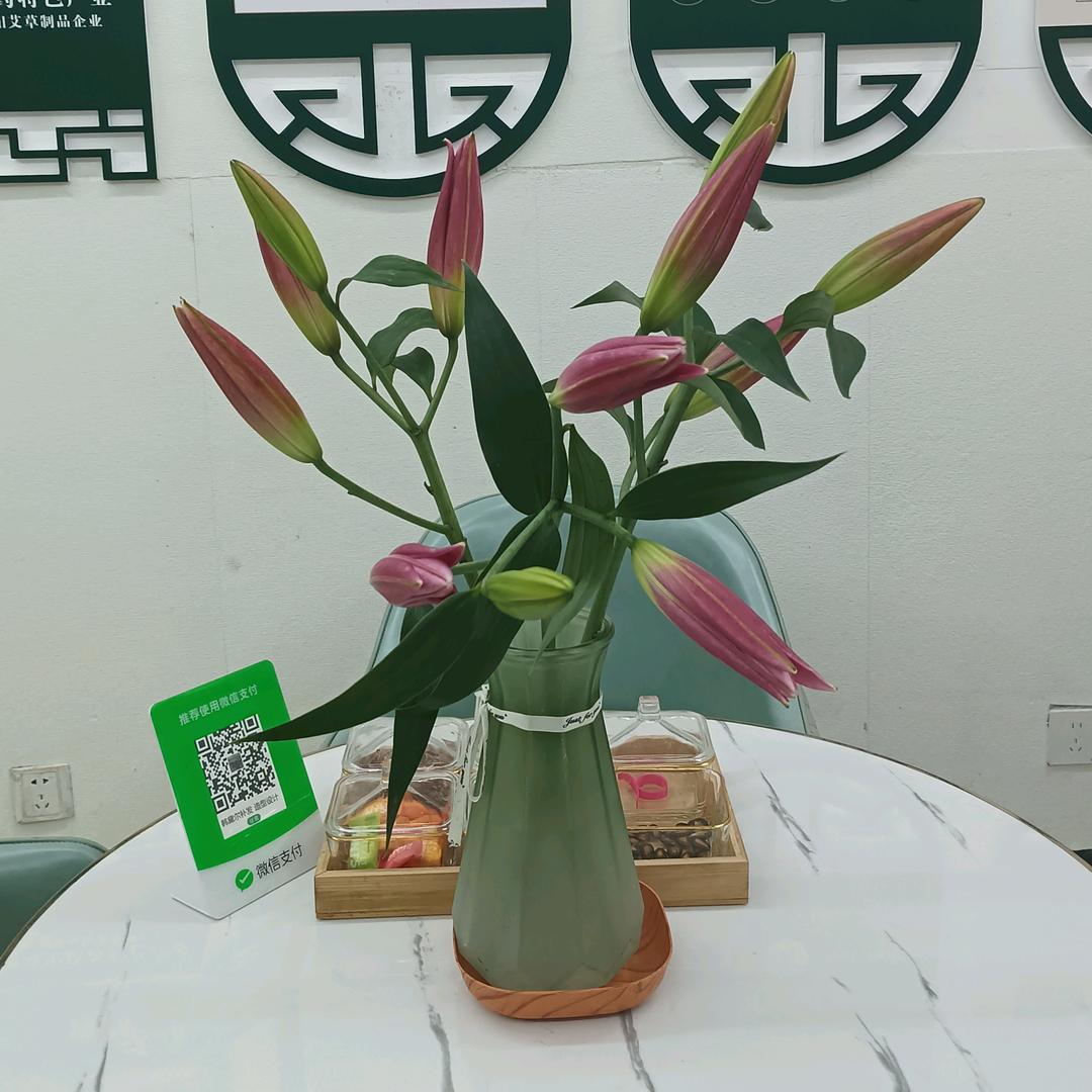幸福好运归我而来
