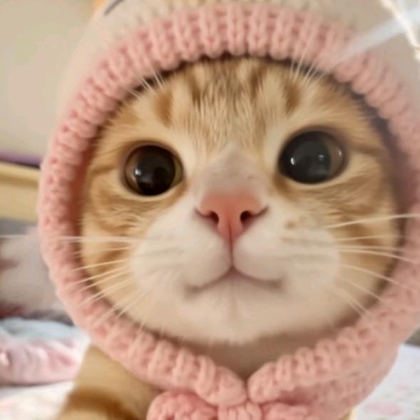 ૮糯米糍饭团ა