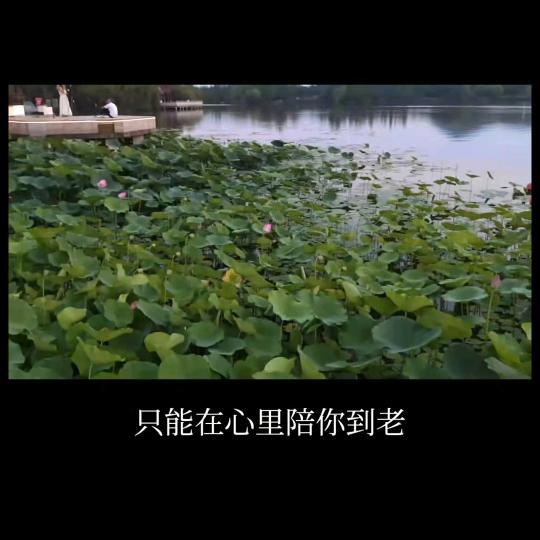 与Q同行