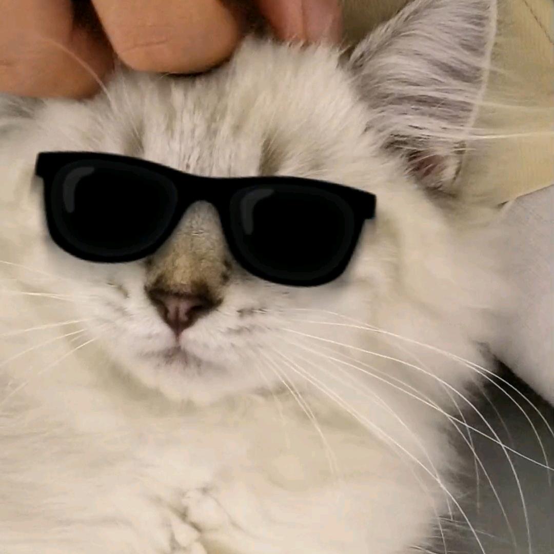 提前到达