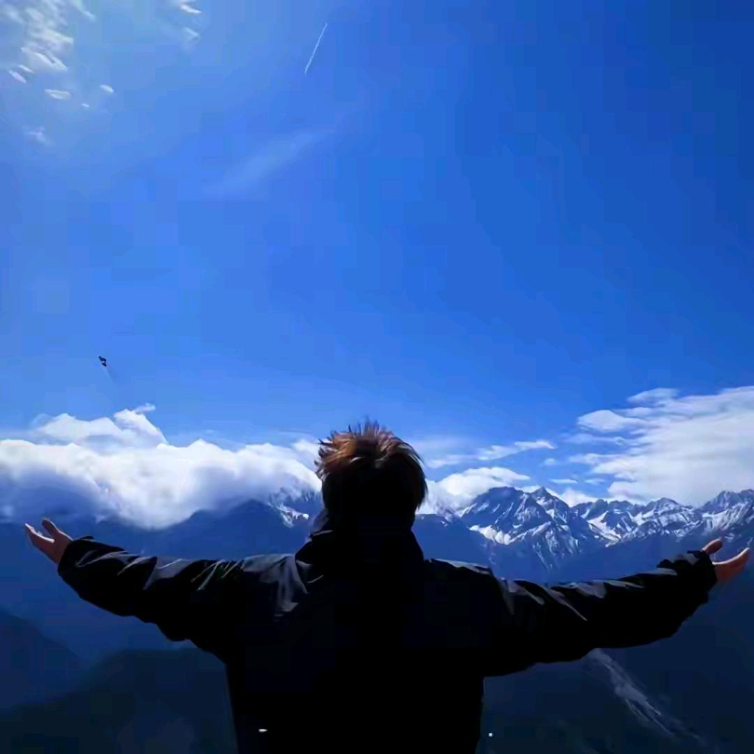 愿