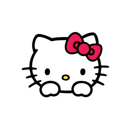 Kitty思密达