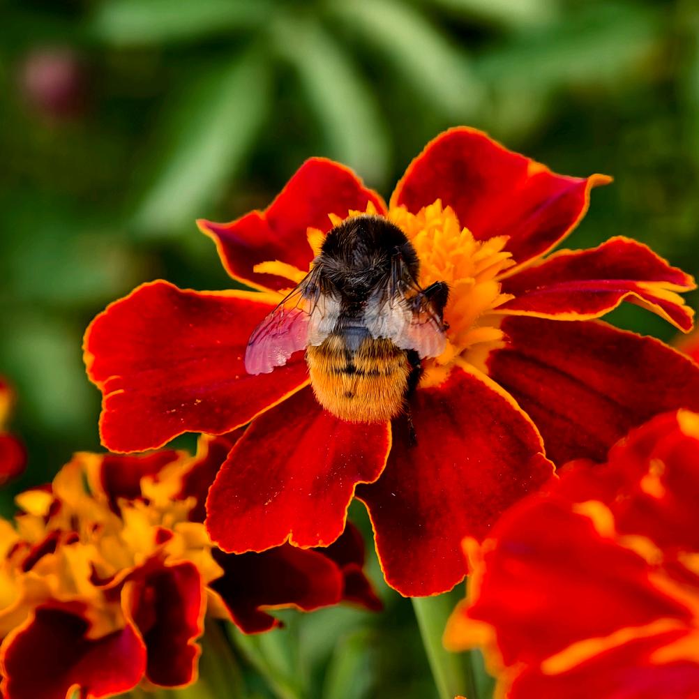 航拍中国之大美青海