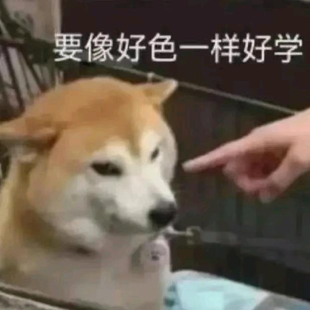 森森的森森