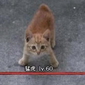你根本不在沈阳大街