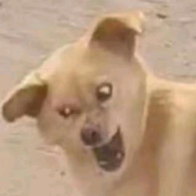 次次次次奥利给