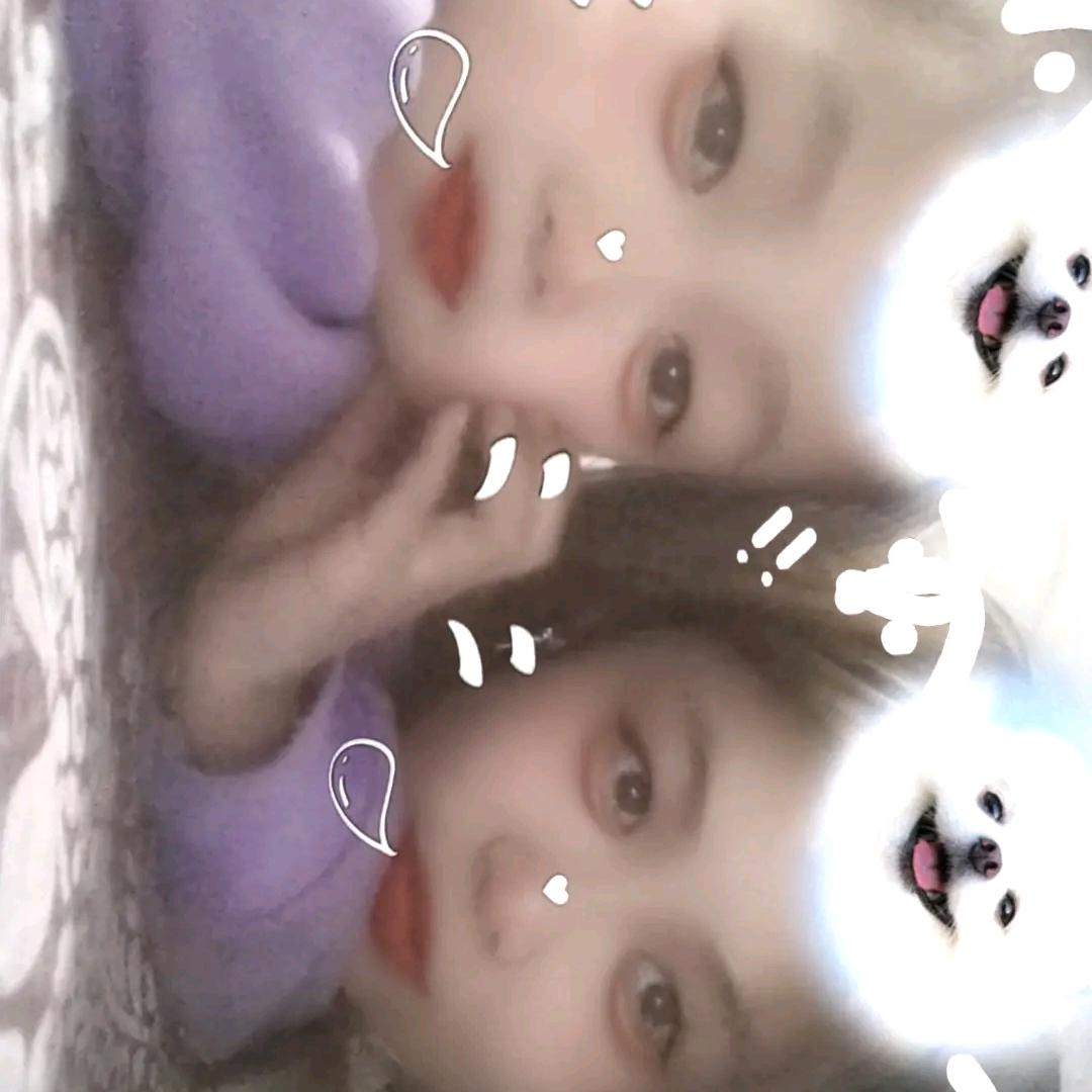 花落无声