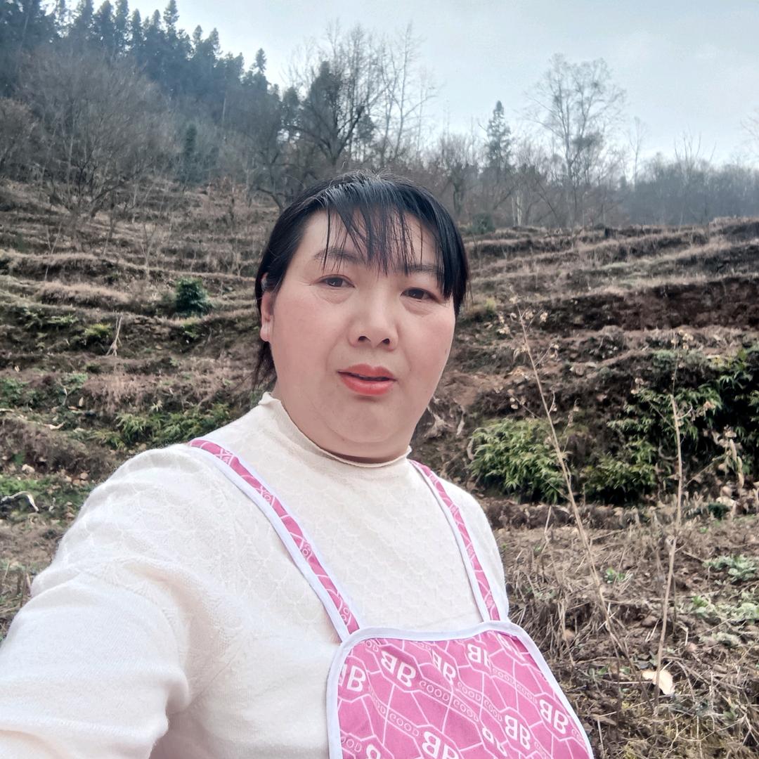 赵飞
