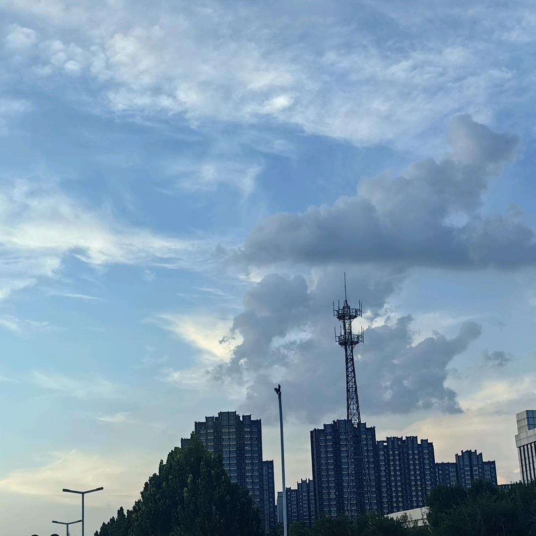 林下夕阳