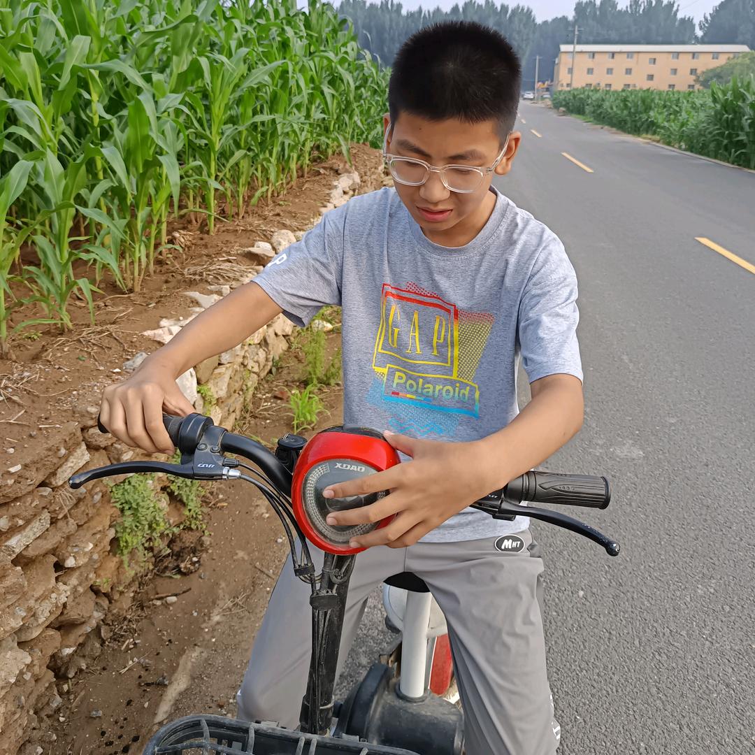 一帆风顺