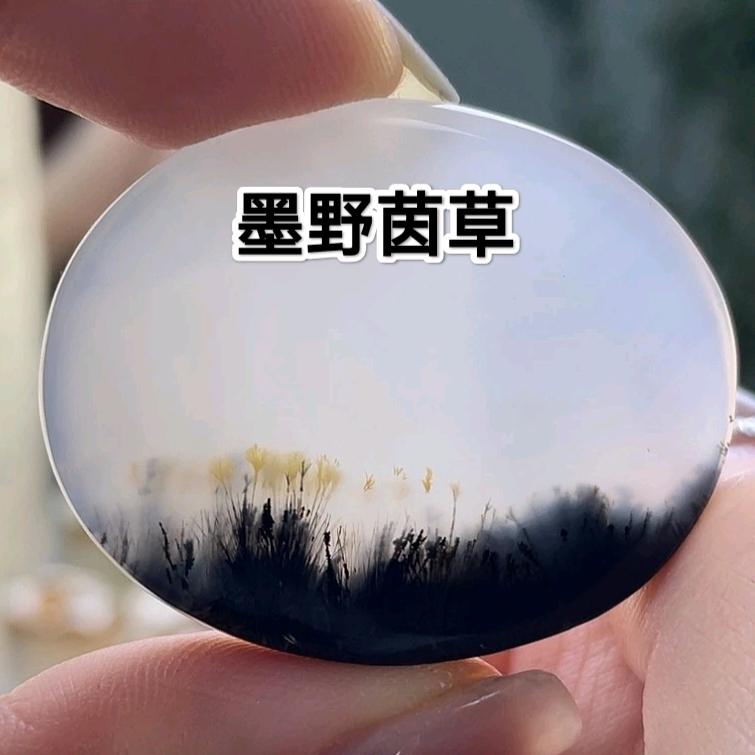 福宝
