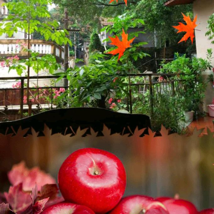 余生好好爱自己