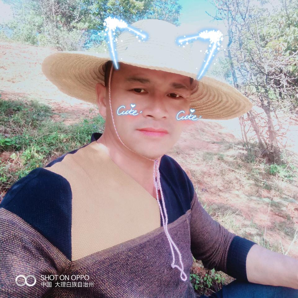 伤与痛的泪头像