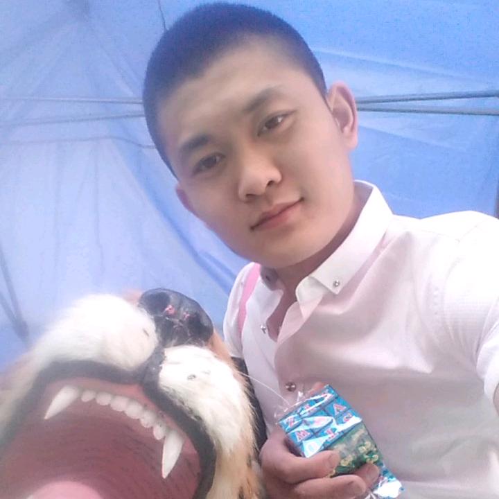 杨凯越