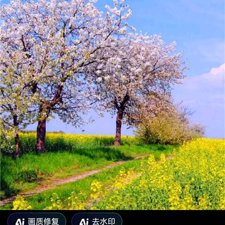 颜值