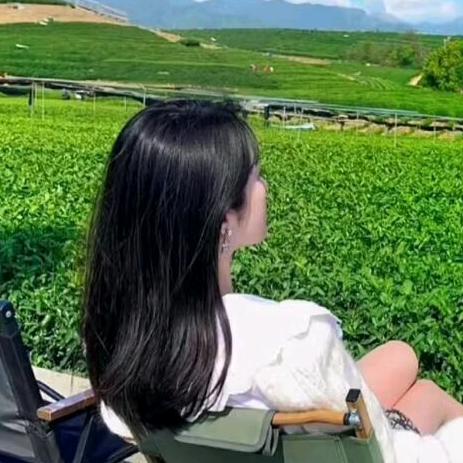 起舞弄淸影•🕊᭄