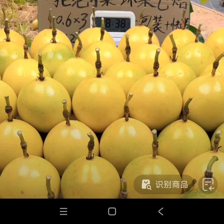 新农人小哥