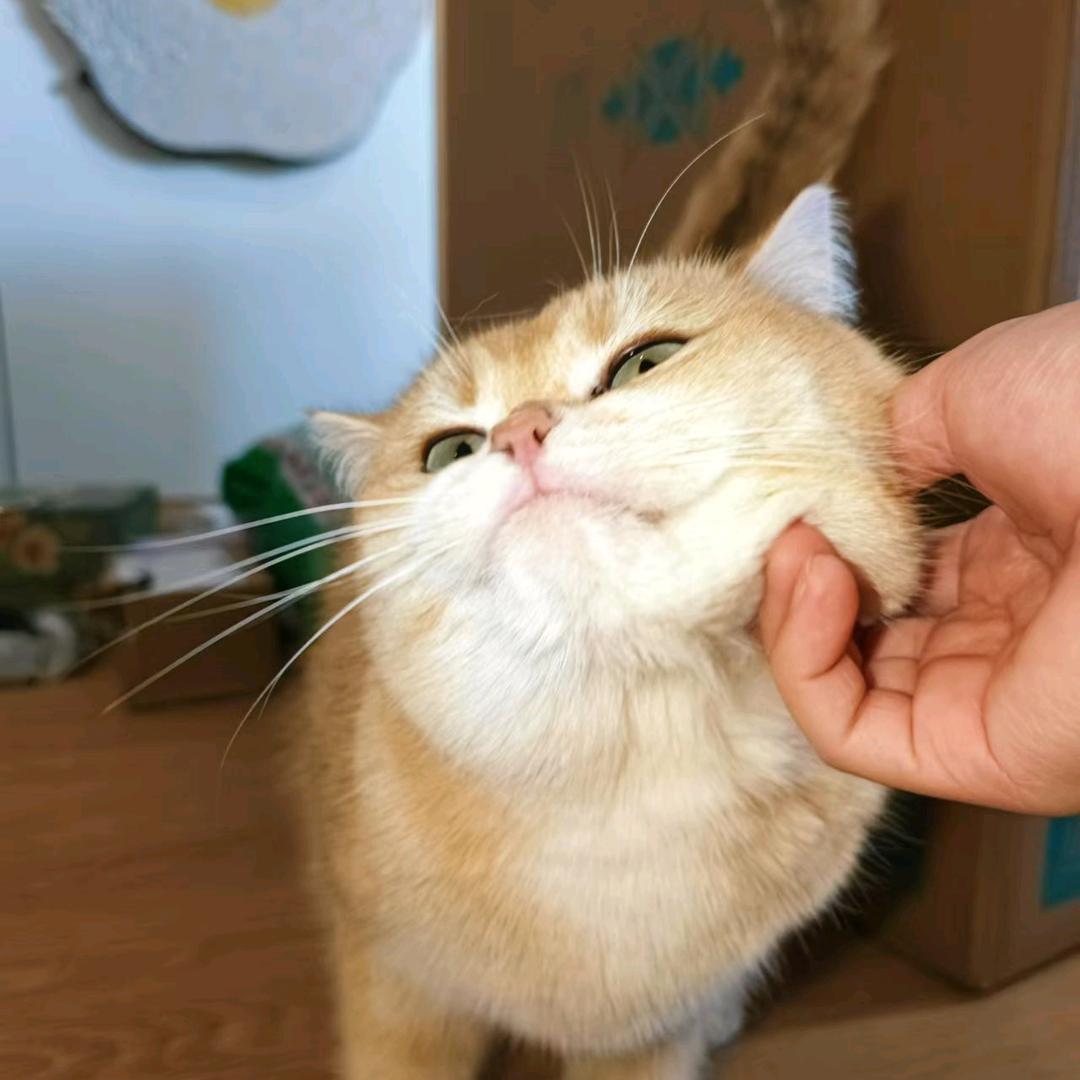 廿七度风