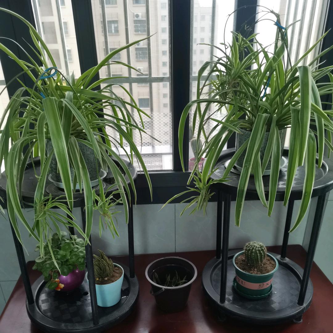 沉默