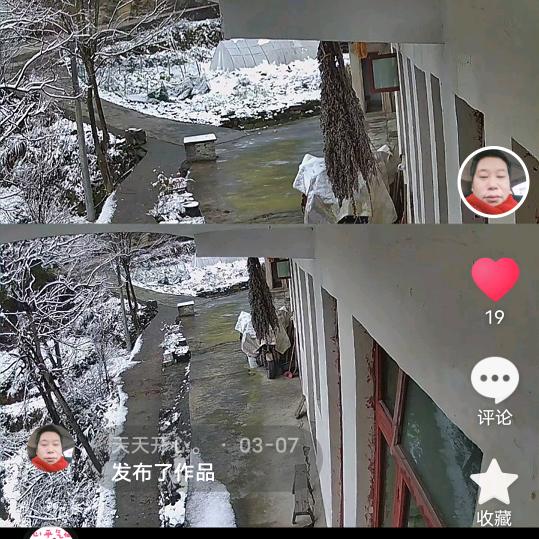 神鹰