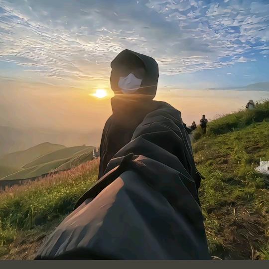 @绿色食品的🐷