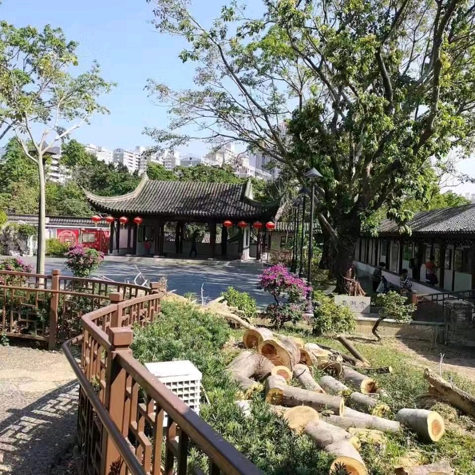 蓝天白云：