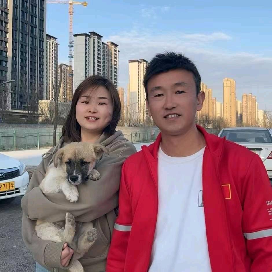 王炸-西安鱼哥驾考