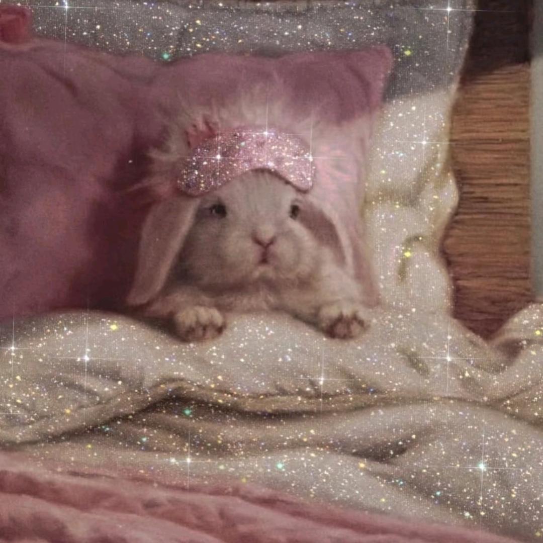 Yujinʕ̯•͡˔•̯᷅ʔ🍔🍔🍔