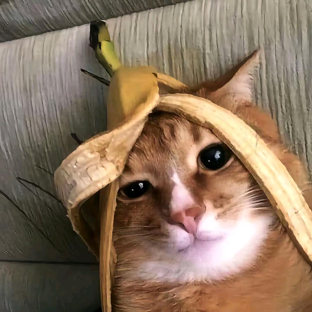 香蕉皮大王