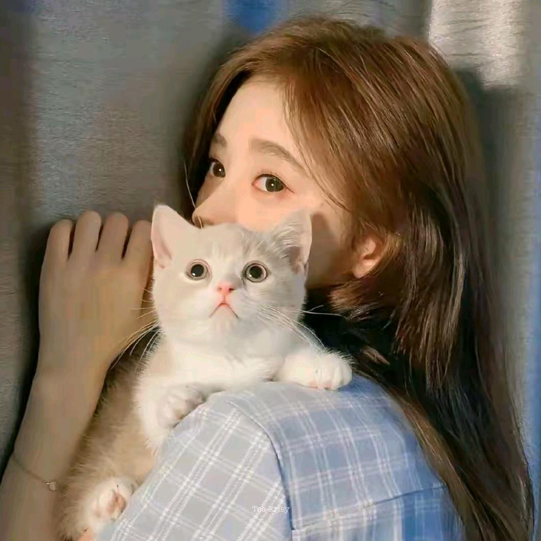 苏柔💔