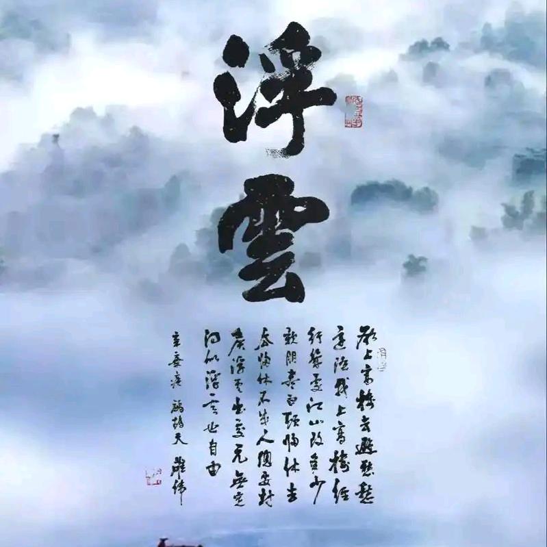 @浮云✨