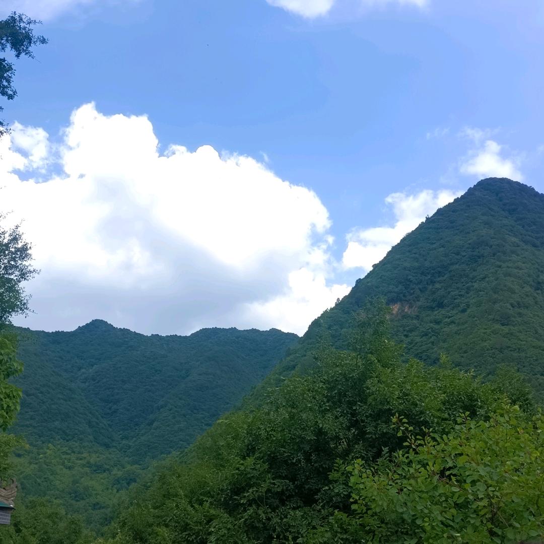 东方再起