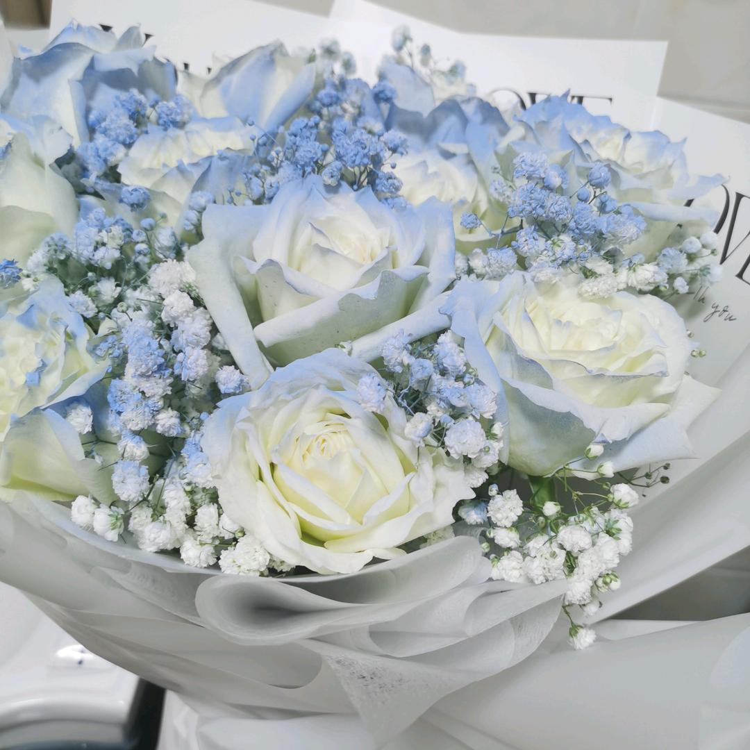 喵喵老师医学Sci论文