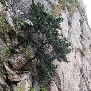 道玄