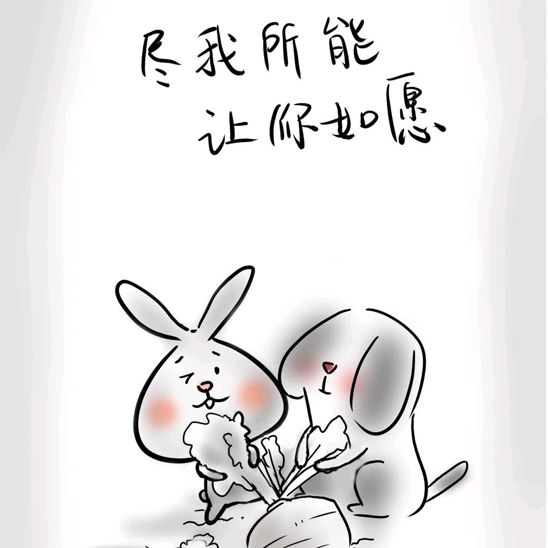 🪷和芳凝头像