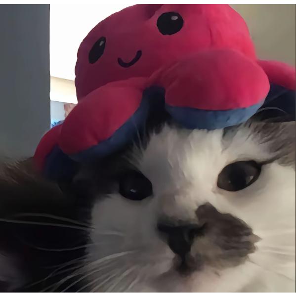 螺旋升空肉夹馍