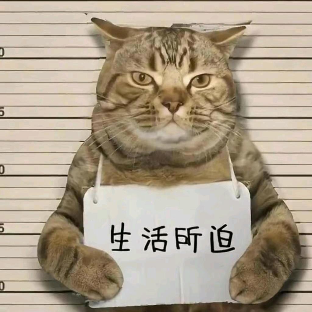 不吃香菜（升本版）