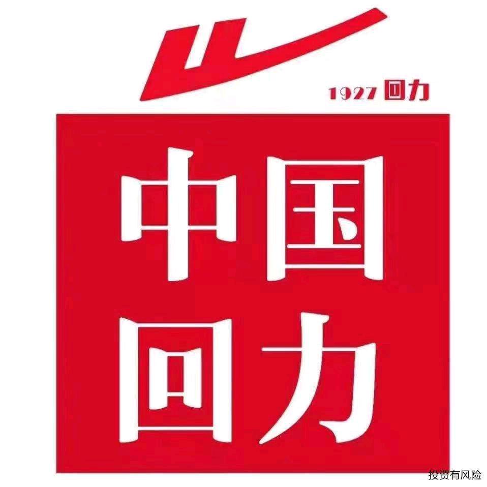 茌平回力