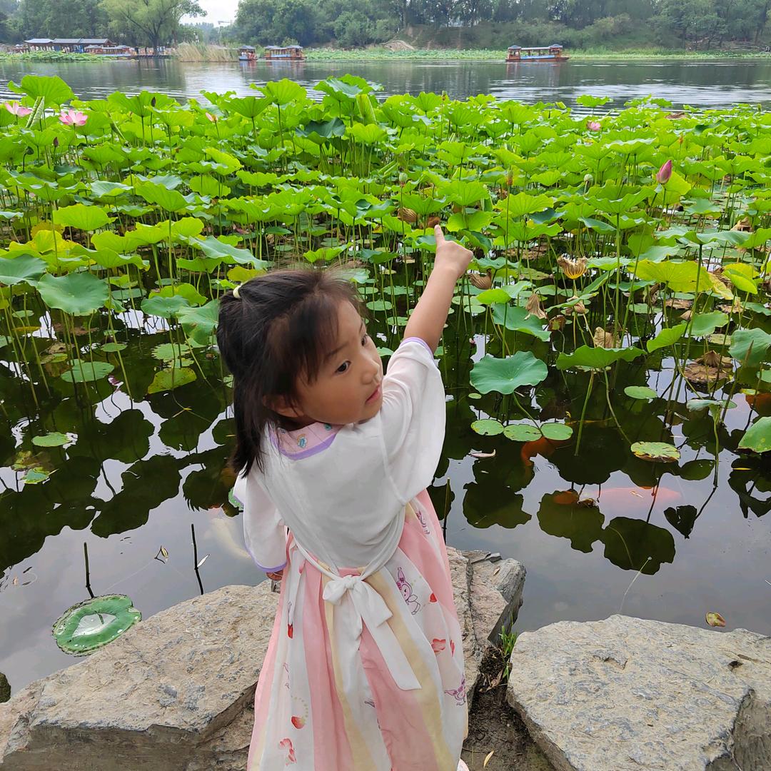 🍭🌻余生🍀如歌💞