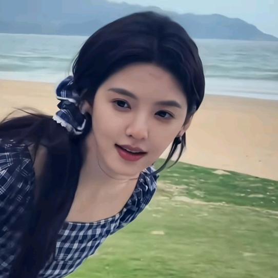 鲨鱼🦈.