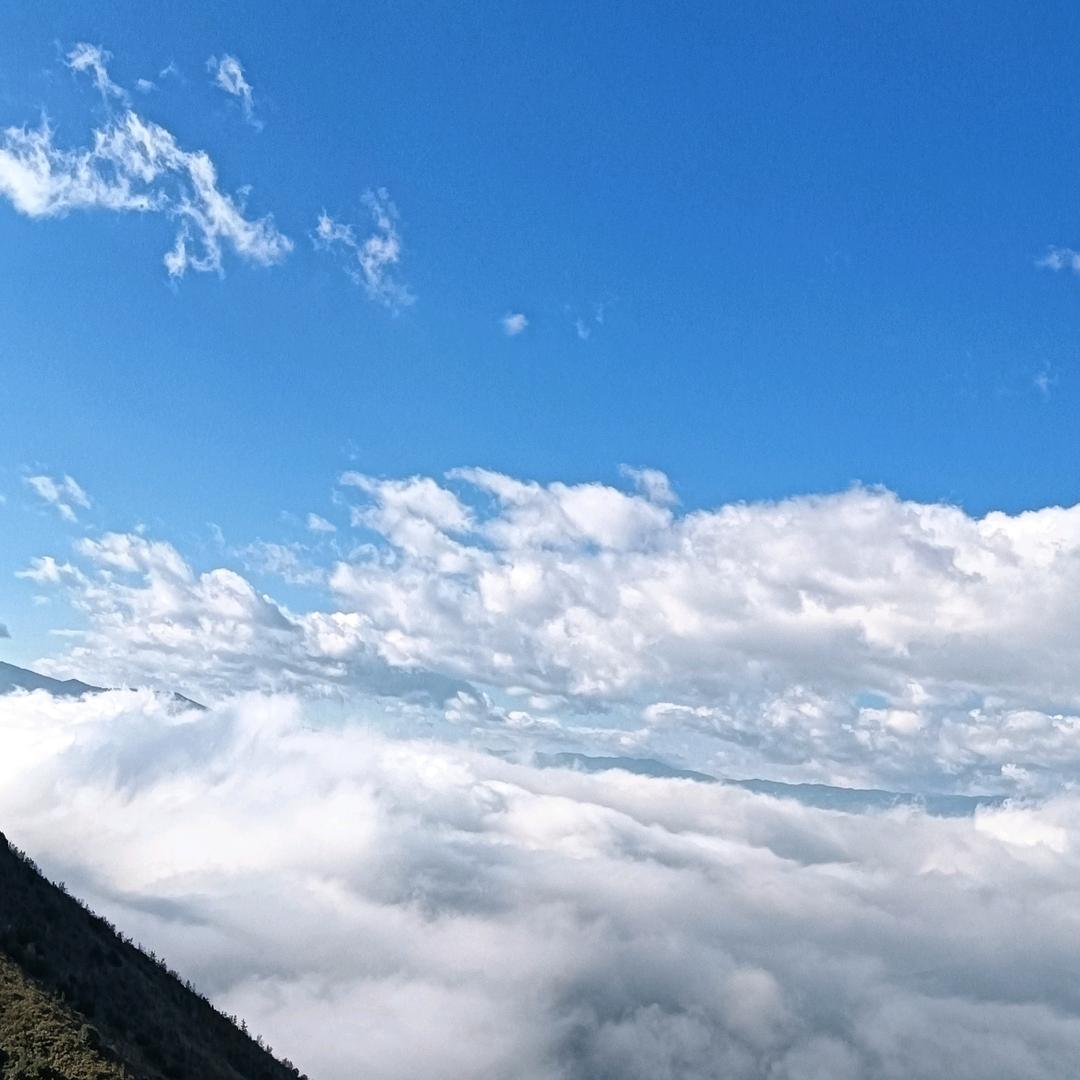 爱的港湾