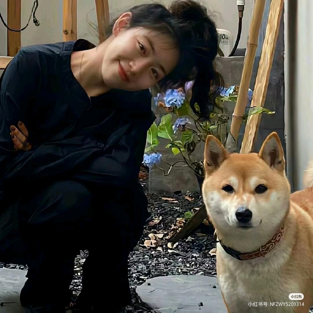 灰太狼゛