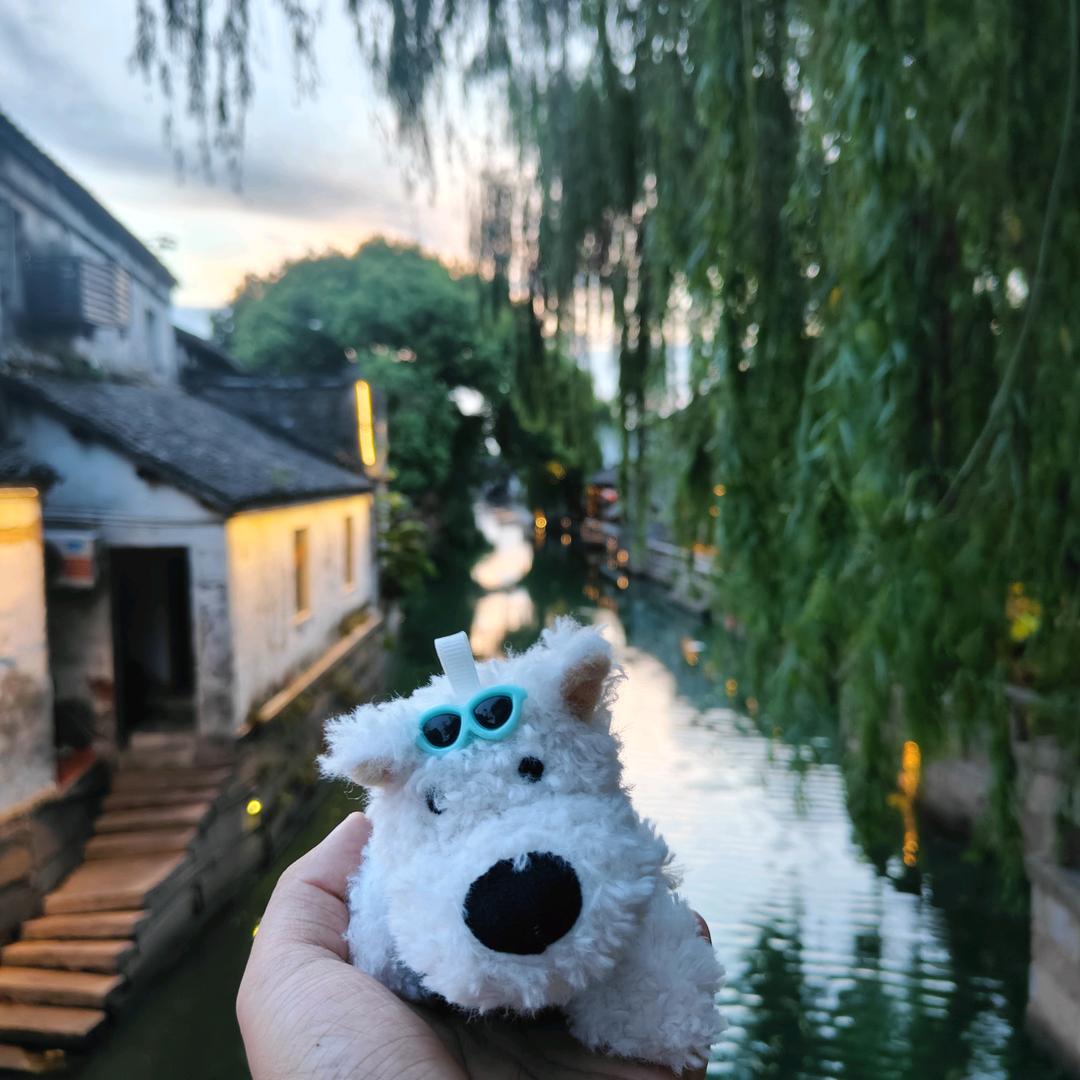 小沫O_o