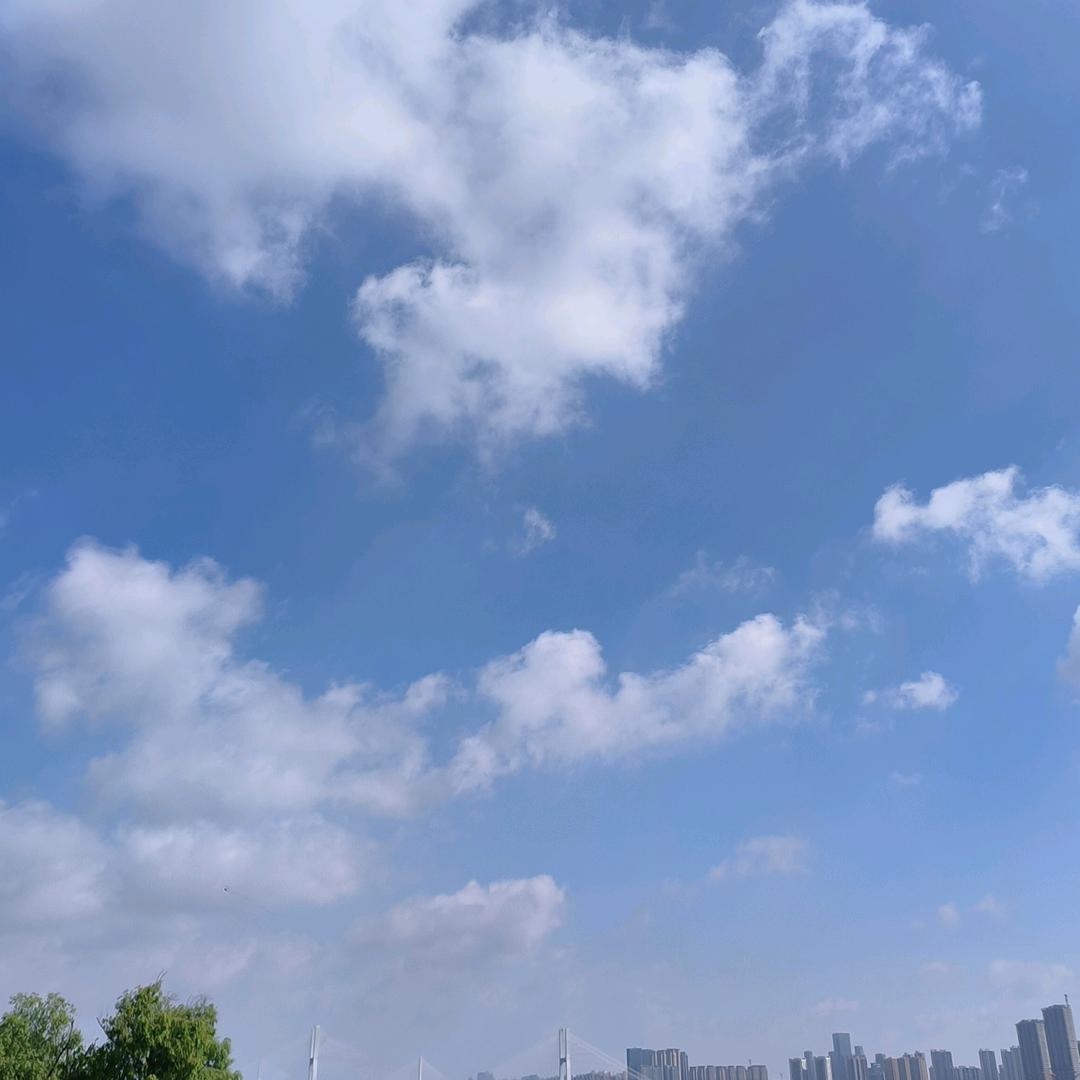 小蚂蚁小可爱吖吖吖♥~