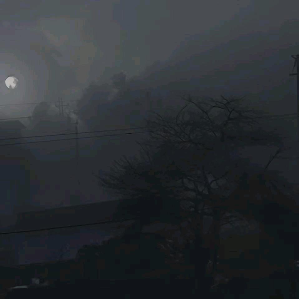 颓我