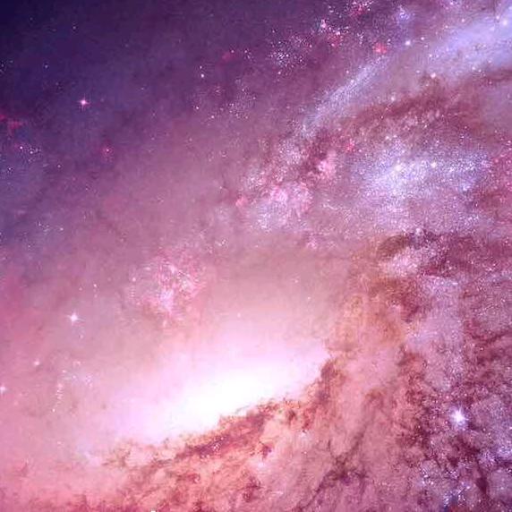 会飞的鱼就要飞